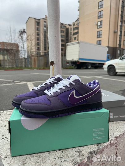 Кроссовки Nike SB Dunk Low Pro Lobster