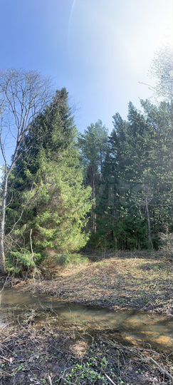 Участок 18 сот. (ИЖС)