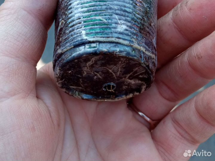 Гибискус комнатный