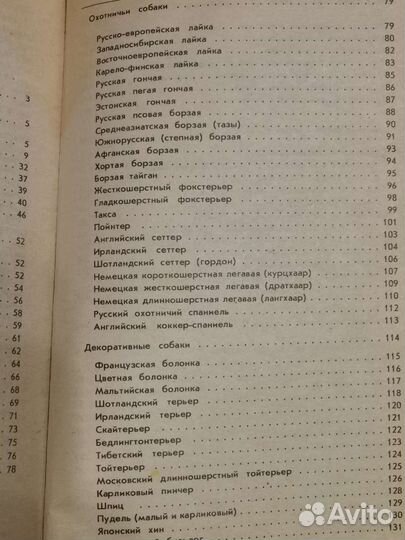 Книга о собаках и кошках