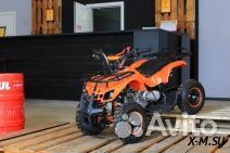 Квадроцикл target next