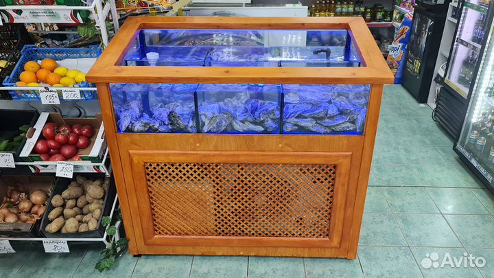 Аквариум для устриц