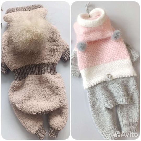 Одежда для собак