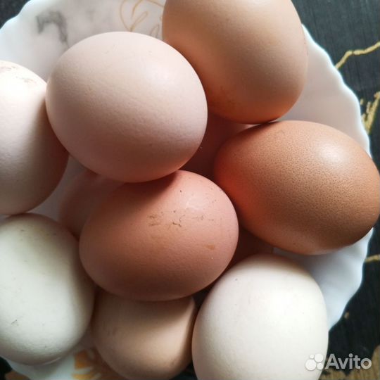 Домашние куриные яйца, для еды и инкубации