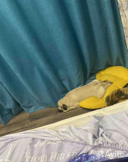 Новые Лежаки для собак/котов 