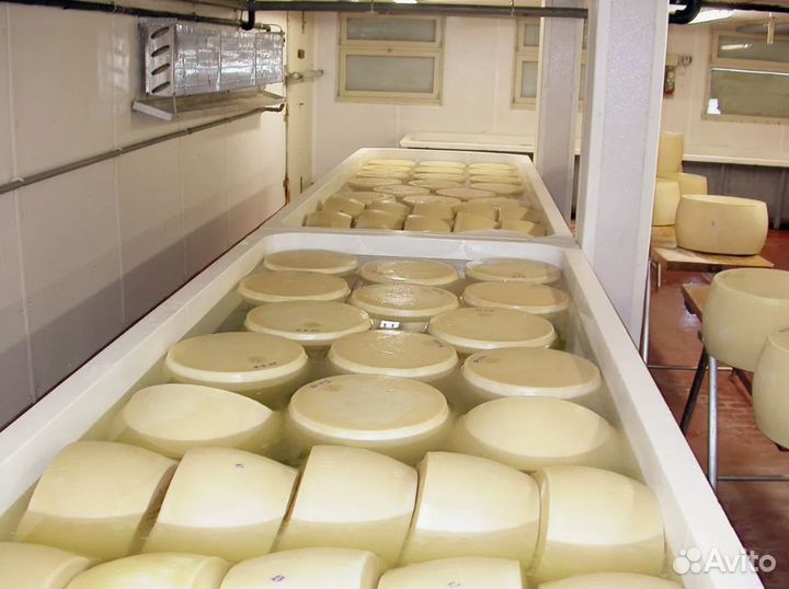 Сотрудники на молокозаводВахта в Москве от 30смен