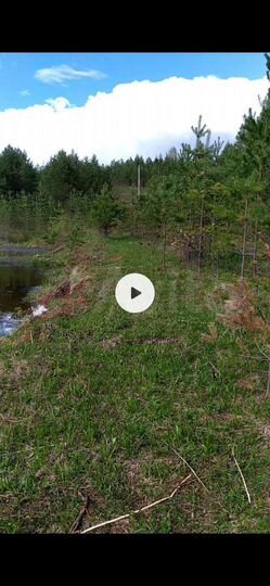 Участок 6,5 га (СНТ, ДНП)