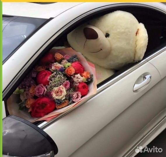 Большие мишки РФ