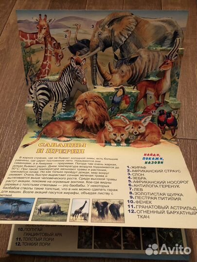 Книга-панорамка