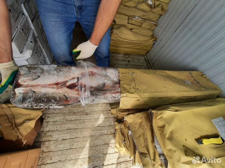 Нерка свежемороженная
