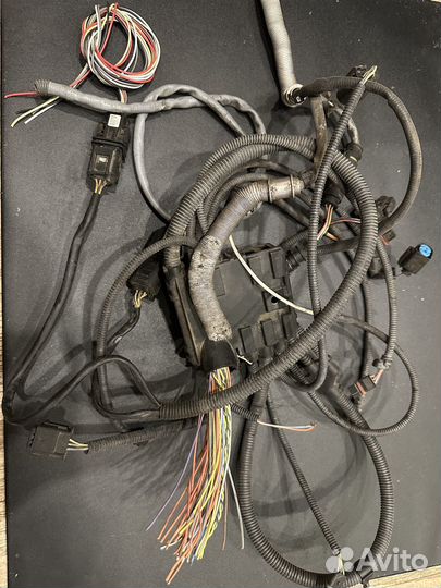 Проводка двигателя BMW n52b25af на лямбда зонды