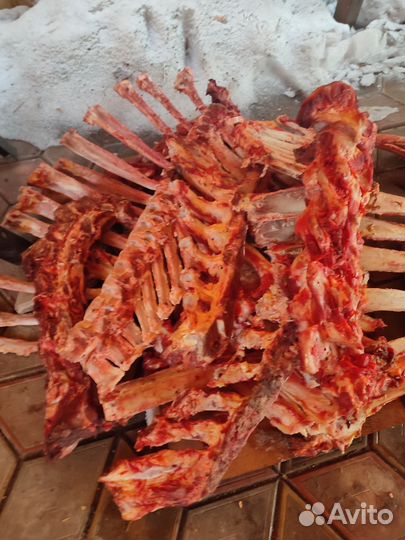 Телячьи кости для собак. Доставка