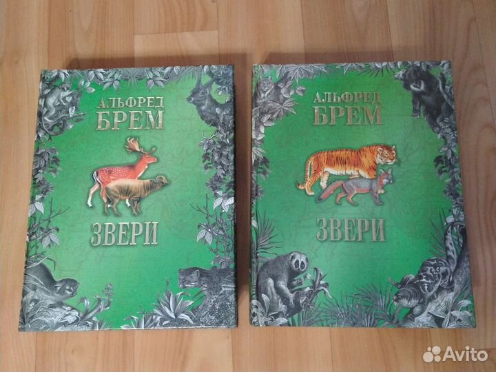 Энциклопедии и книги для детей