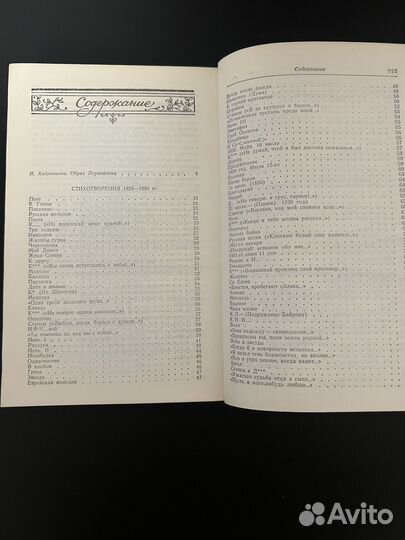 Лермонтов 2 тома