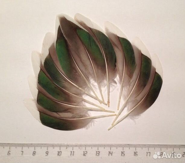 Перья для хэндмейда