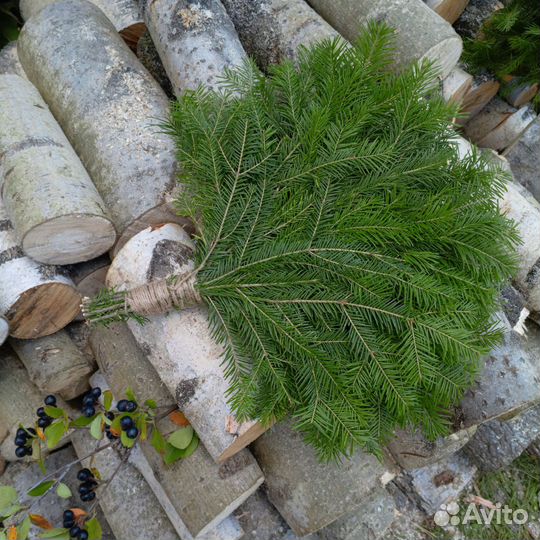Веники для бани пихта