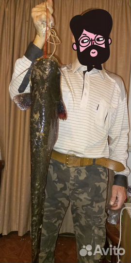 Черви для рыбалки Дендробена