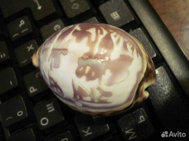 Индия морская раковина Надпись на Хинди винтаж80е