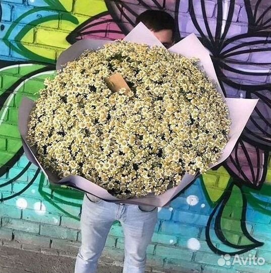 Доставка цветов. Ромашки