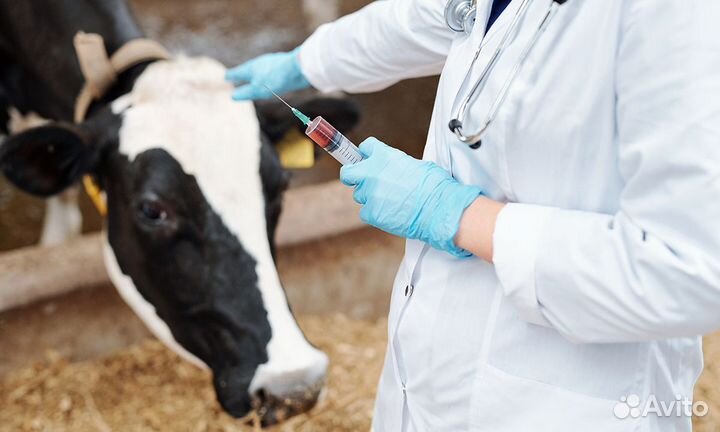 Ветеринарный врач/фельдшер