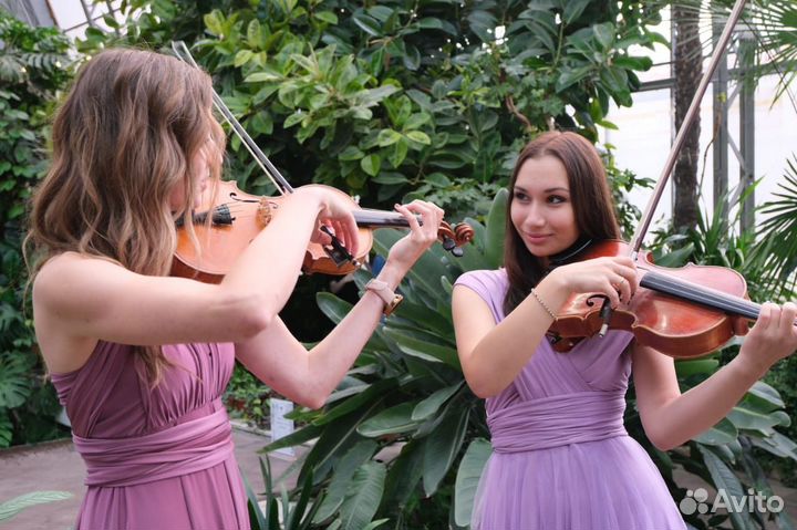 Репетитор/педагог по музыке(скрипка, альт)
