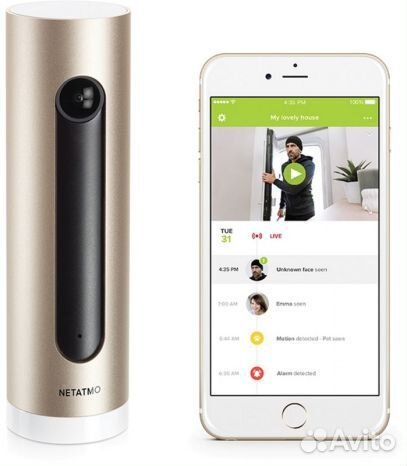 Netatmo Welcome Camera Brown (NSC01-EU)