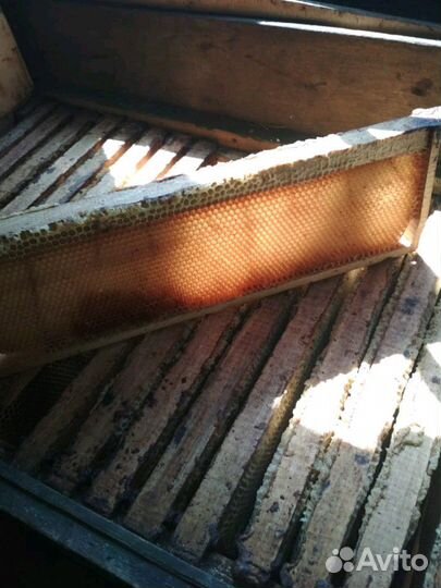 Рамки для магазина