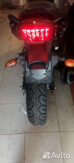 Racer rc250ck nitro