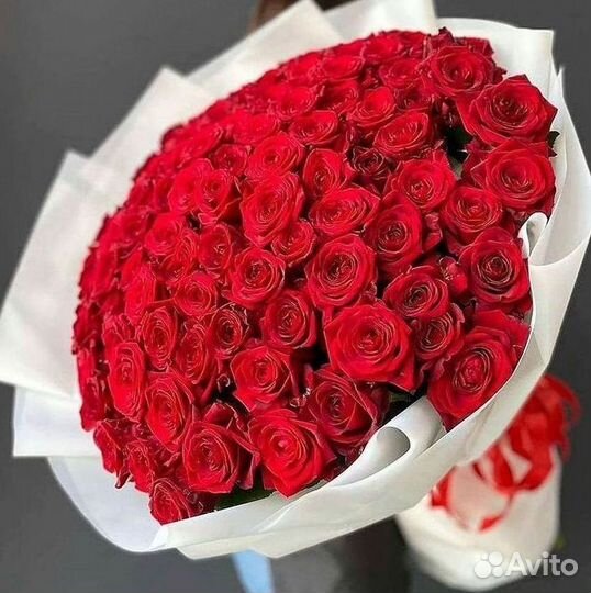 Высокие розы Гигантские розы Доставка цветов