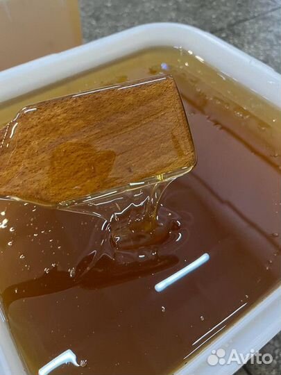 Майский мёд. Качка 2023 г. Оптом