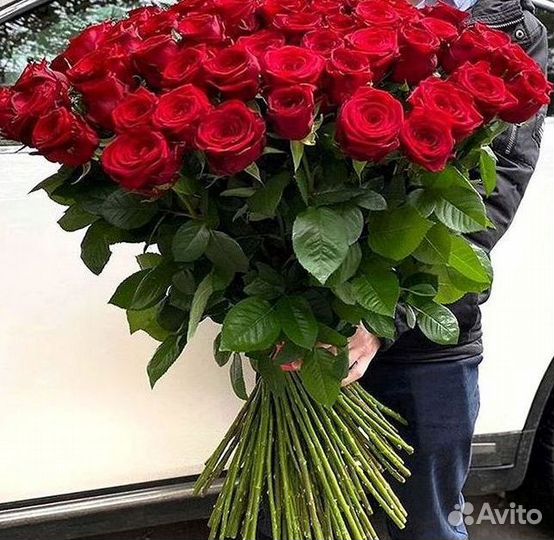 Букет роз 101 роза 51 роза