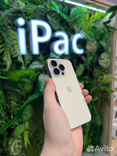 Apple iPhone 14 Pro Max 256Gb Gold новый