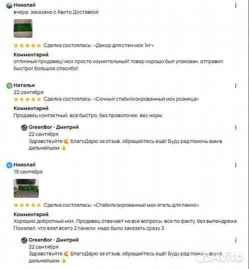 Мох для декорирования стен панно и кашпо интерьер