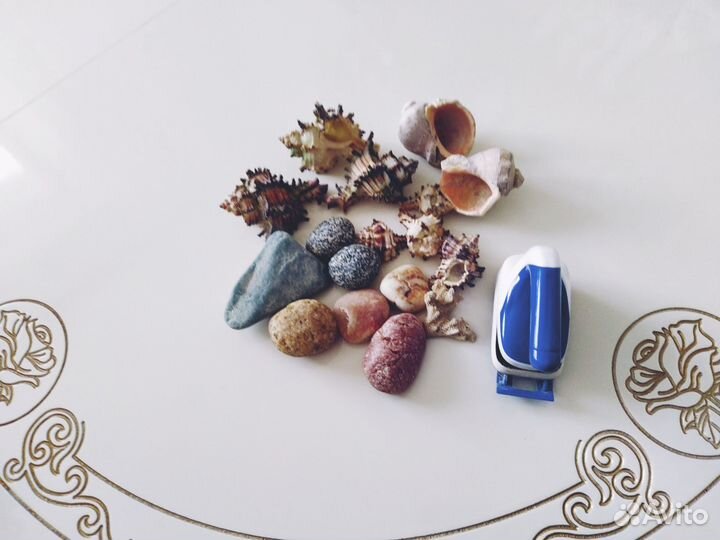 Морские ракушки,магнитная щётка
