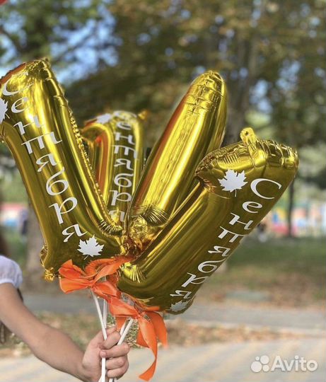 Цветы из воздушных шаров, букеты, шарики, шары