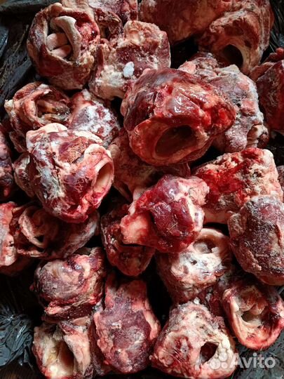 Мясо говядина для собак