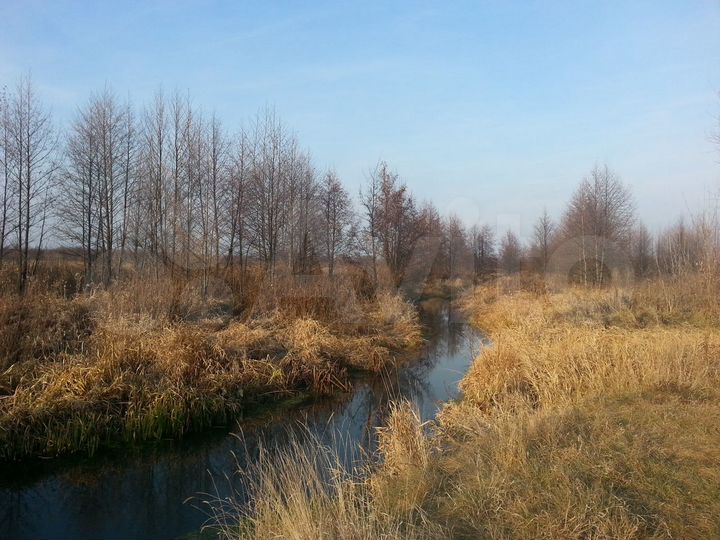 Участок 5 га (ИЖС)