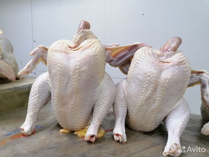 Мясо Домашнего Бройлера