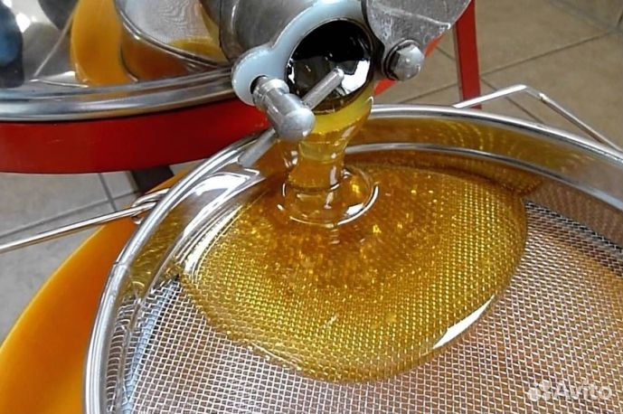 Мёд натуральный Алтайский опт min 16kg