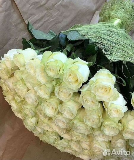 Розы Букеты Цветы Розы 31 101 151 201 Доставка