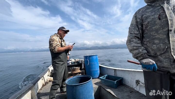 Любительская морская рыбалка в черном море