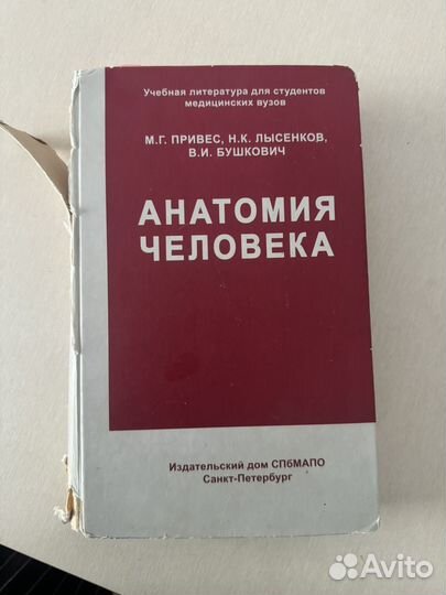 Анатомия человека Привес М. Г. и др
