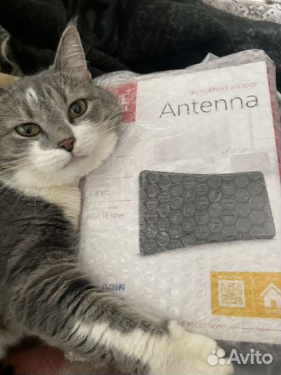 Антенна комнатная для тв OneForAll SV9420