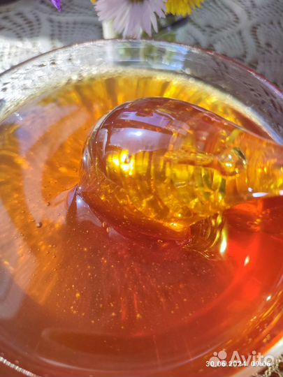 Мёд липовый, цветочный, акация, Гречишный