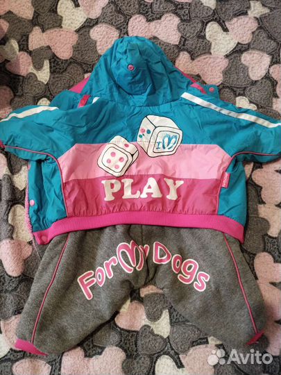 Комбинезон для маленькой собаки осень