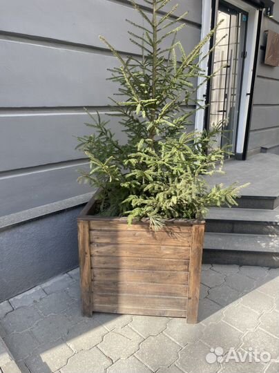 Деревяный ящик