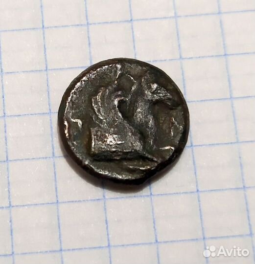 Монеты в коллекцию