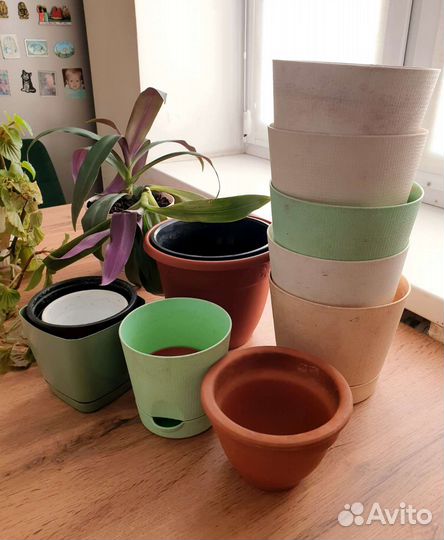 Цветы и горшки всё вместе