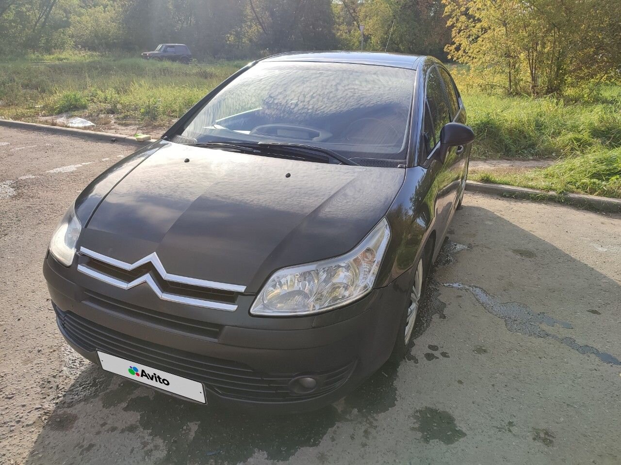 Citroen C4: фото владельца