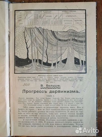 Книга В. Бельше Прогресс дарвинизма 1905г